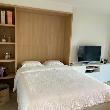 In With Terrace Apartment