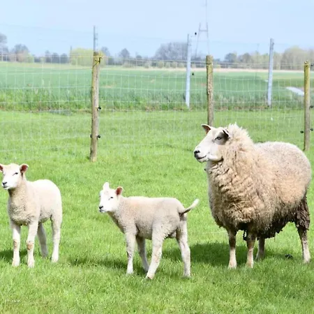 In Near Marina & Golf Apartment *