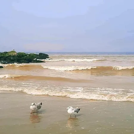 아파트 In Near Marina & Golf 니우포르트