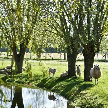 Apartment In Near Marina & Golf