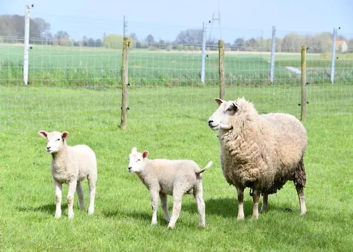 In Near Marina & Golf Appartement *