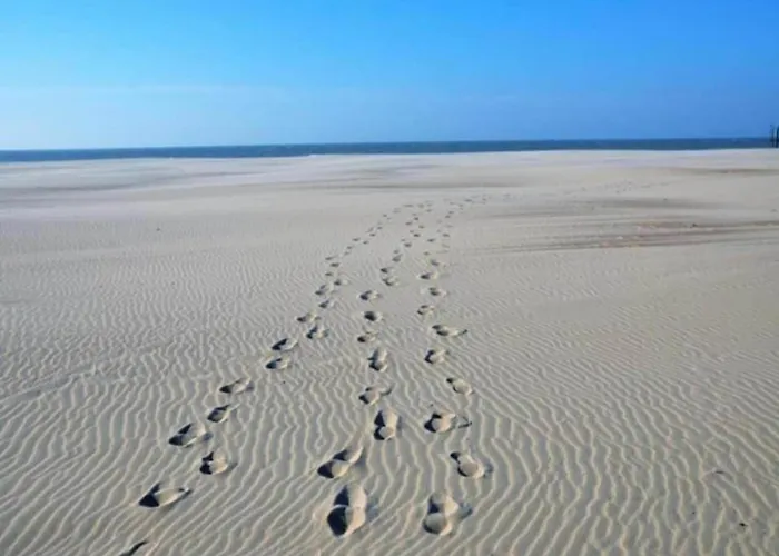 In Near Marina & Golf Appartement Nieuport