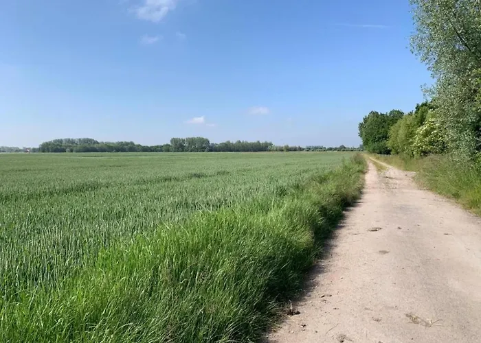 Appartement In Near Marina & Golf