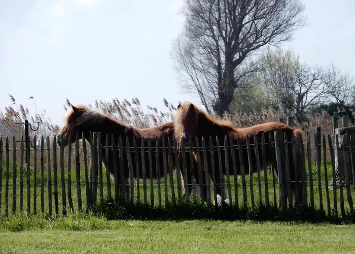 In Near Marina & Golf * Nieuport