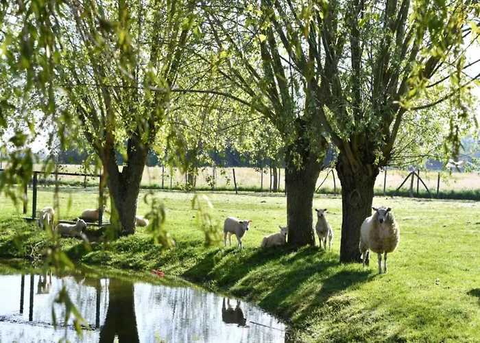 Appartement In Near Marina & Golf